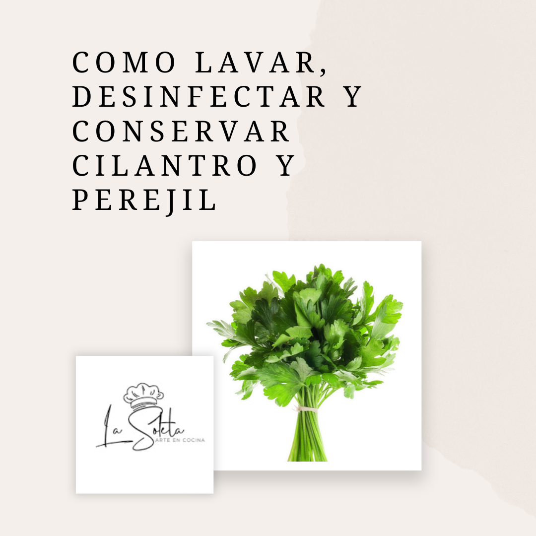 Como desinfectar, lavar y conservar perejil y cilantro